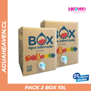 2 BOX Saborizada - 10 lts c/u