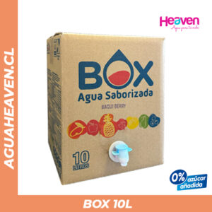 BOX Saborizada - 10 lts c/u