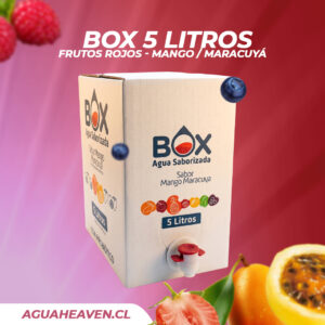 BOX Saborizada 5 lts