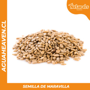 Semillas de Maravilla