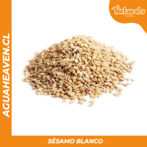 Sésamo Blanco