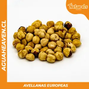 Avellanas Europeas