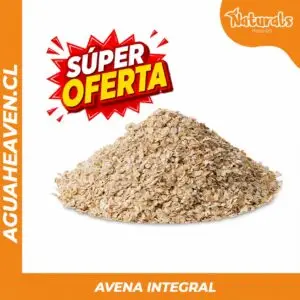 Avena Integral 500 g