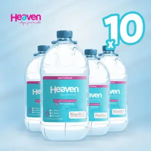 Pack 10 desechables 10 lts sin gas