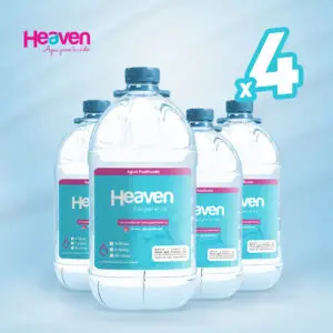Pack 4 desechables 10 lts sin gas