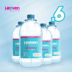 Pack 6 desechables 10 lts sin gas