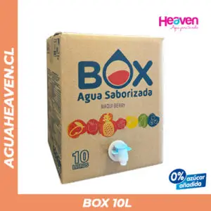 BOX Saborizada - 10 lts c/u