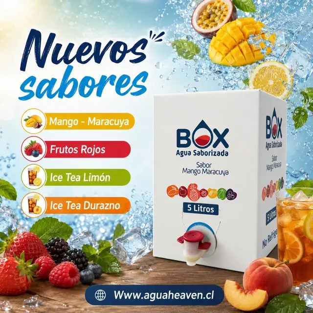 BOX Saborizada 5 lts (4 sabores)
