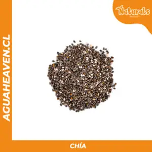 Chía