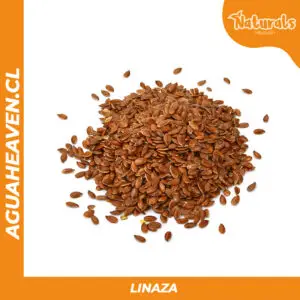 Linaza
