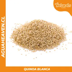 Quinoa Blanca