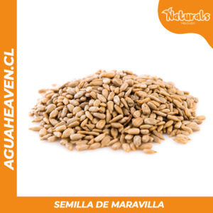 Semillas de Maravilla