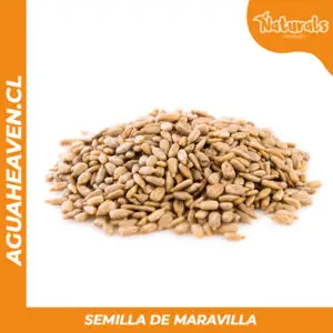 Semillas de Maravilla