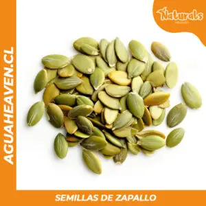 Semillas de Zapallo
