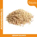 Sésamo Blanco - 500 gramos