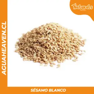 Sésamo Blanco